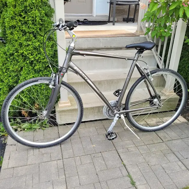 Giant Cypress Hybrid Bike (XXL)