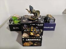 Animal Nebula Reptile Figure Collection-Snakes Lizards & Turtles