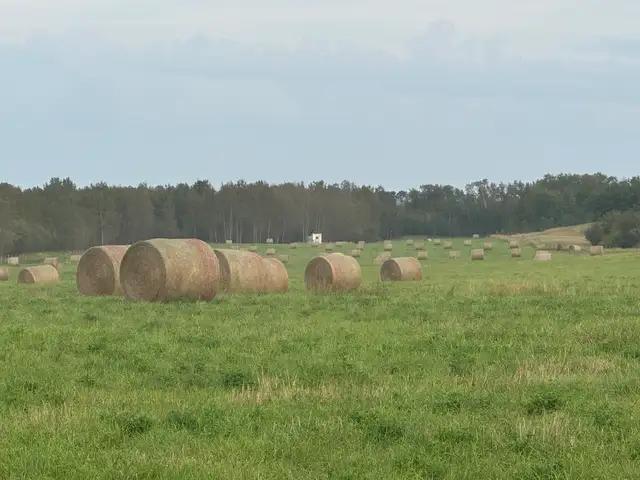 2026 Hay Bales