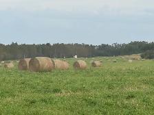 2026 Hay Bales
