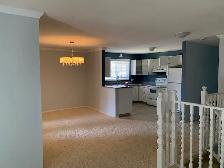 BEAUTIFUL 3 BEDROOM 2 BATH 2 YARDS WITH LARGE GARAGE BY RIVER - Photo 7