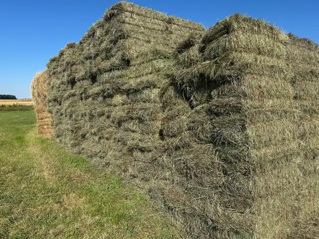 square hay bales
