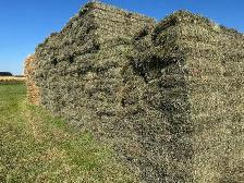 square hay bales