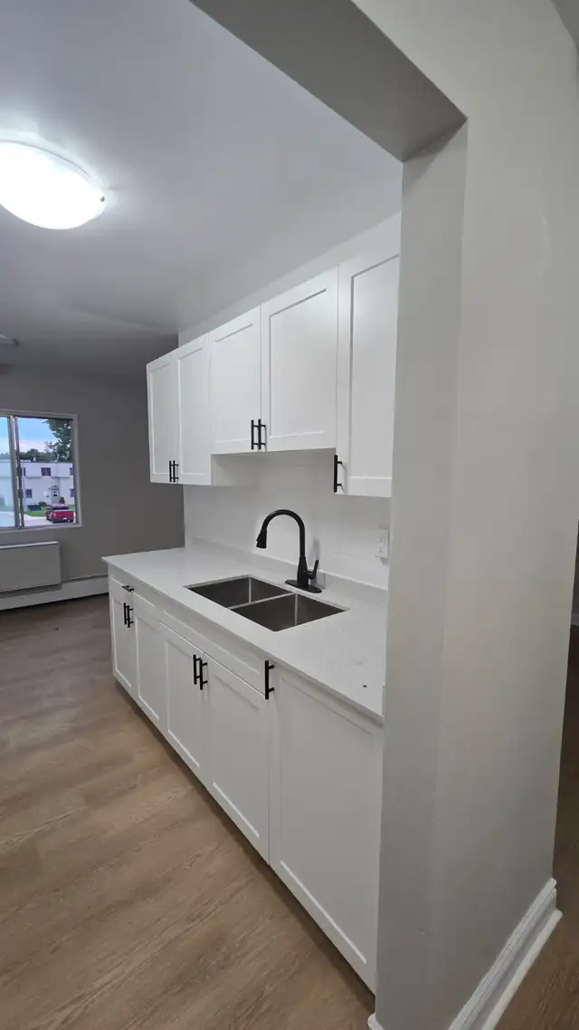 hiring renovations professionals
