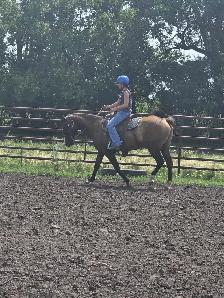17 yr old Grullo Mare - JULIE - Photo 9