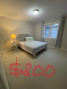 3 Rooms Available in Riverside South / Summerhill – $800–$1,000