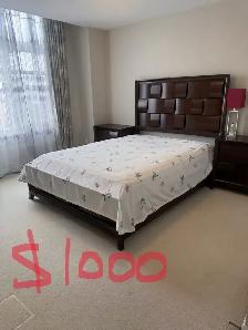3 Rooms Available in Riverside South / Summerhill – $800–$1,000 - Photo 8
