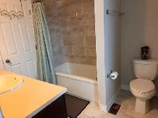 3 Rooms Available in Riverside South / Summerhill – $800–$1,000 - Photo 9