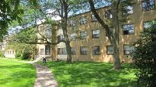 3 Bedroom Apartment, ONE Month FREE, Available September - Photo 12