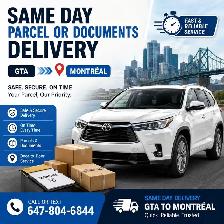 same day document/parcel delivery in hand