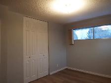 BRIGHT & BEAUTIFUL 4-Bed 2-Bath Home w/ Double Garage & Basement - Photo 6