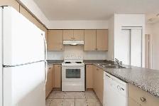 Renovated one bedroom, Weston and Eglinton West - ID 1306 - Photo 2