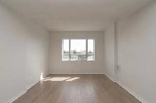 Renovated one bedroom, Weston and Eglinton West - ID 1306 - Photo 5