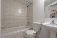 Renovated one bedroom, Weston and Eglinton West - ID 1306 - Photo 8