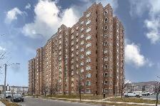 Renovated one bedroom, Weston and Eglinton West - ID 1306 - Photo 13