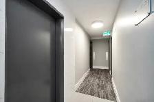 Studio Apartment for Rent - 1454 Pendrell Street - Photo 10