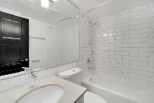 Studio Apartment for Rent - 1454 Pendrell Street - Photo 13