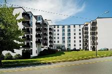 2 Bedroom Apartment for Rent - 200 Willet Street - Photo 20