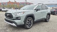 2019 Toyota RAV4 Trail