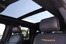 2025 Ford Expedition TREMOR 4X4 - Photo 14