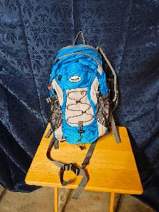 Reebok hydration backpack