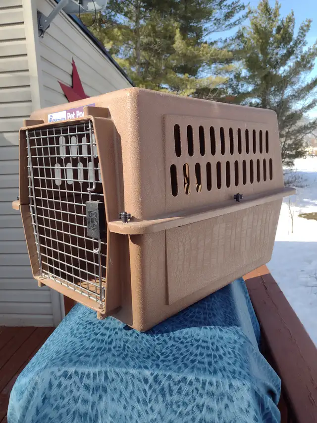 Carrying dog crate