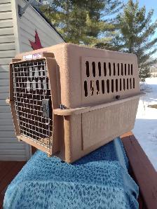 Carrying dog crate