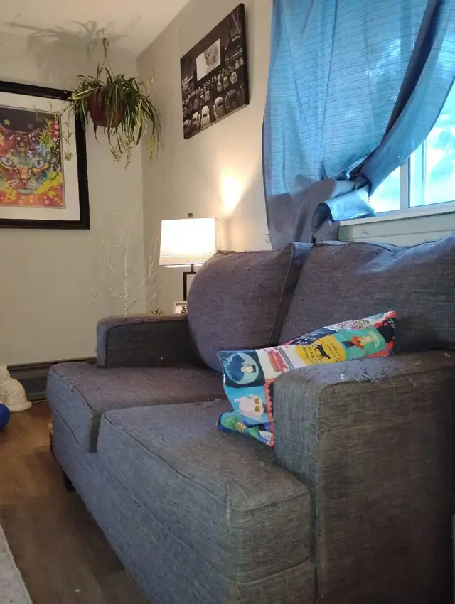 free couch set