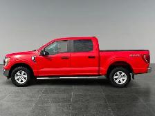 2022 Ford F-150 XLT - Photo 2