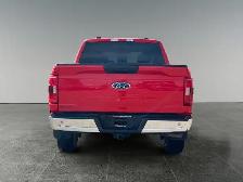 2022 Ford F-150 XLT - Photo 5