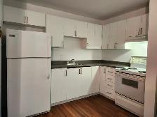 Plateau Mile-End 31/2 - Photo 6