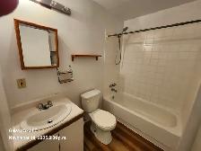 Plateau Mile-End 31/2 - Photo 10