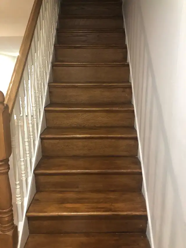 Basement to rent