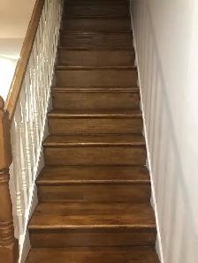 Basement to rent