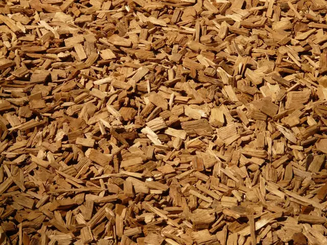 Bark Chips/ Wood Chips