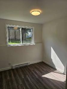 5 1/2 demi sous-sol à louer Longueuil - Photo 4