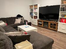 3 Story Townhouse 2 Bed with Dan for Rent in Barrhaven - Photo 4