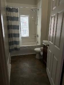 bright 3 story, 4 bed, downtown house for rent - Photo 5