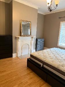 bright 3 story, 4 bed, downtown house for rent - Photo 7