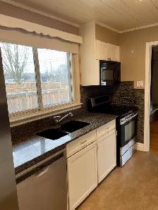 Room for rent in shared house - Photo 4