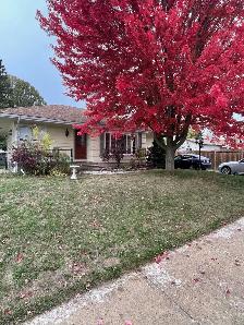 Room for rent in shared house - Photo 10