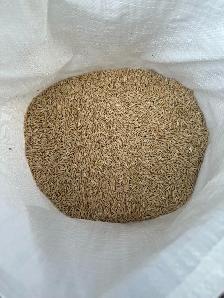 Whole Cleaned Oats