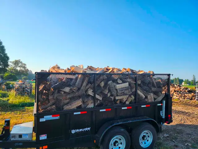 Firewood