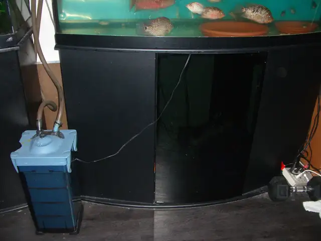 MOVING SALE LARGE FILTER $75, TEXAS FISH $20 EACH