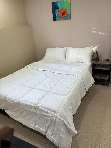 5 bed, 3 bath fully furnished house - Parkdale - Photo 8