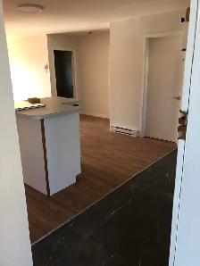 41/2 rénové. Disponible Maintenant. 450-602-1259 - Photo 3