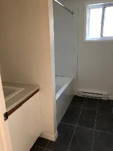 41/2 rénové. Disponible Maintenant. 450-602-1259 - Photo 4