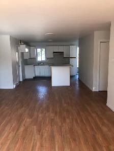41/2 rénové. Disponible Maintenant. 450-602-1259 - Photo 5