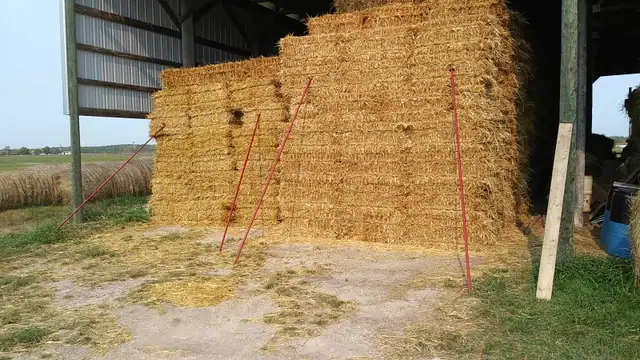 Wheat Straw