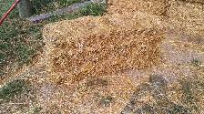 Wheat Straw - Photo 2